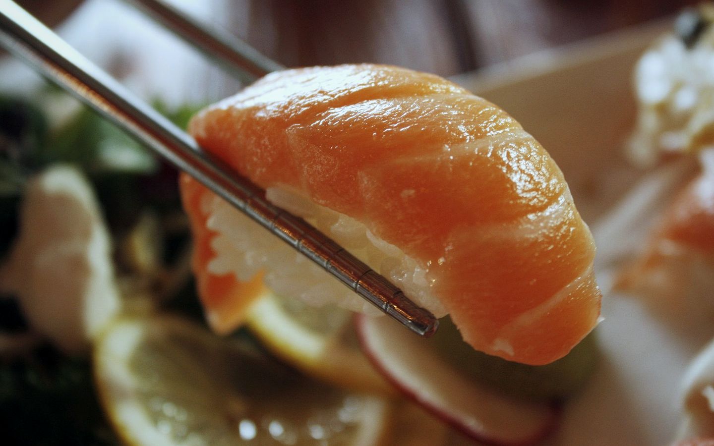 Osaka Line omakase WordPress sample